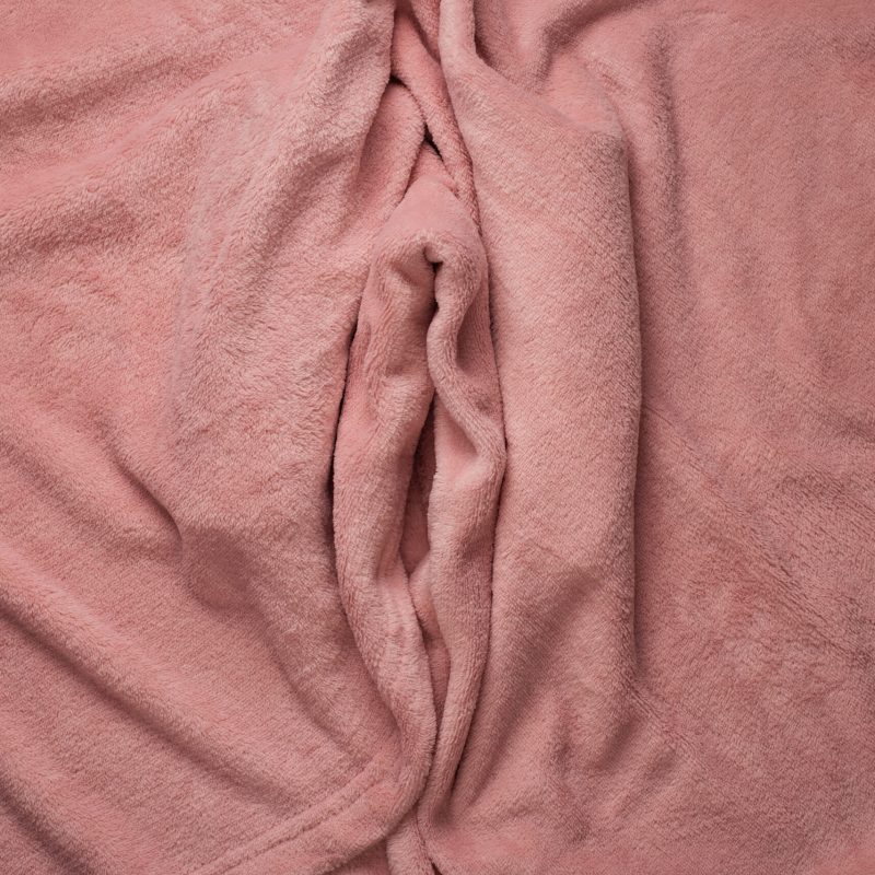 Pink,Soft,Fabric,Shaped,As,Female,Genital,Organs,,Vulva,And